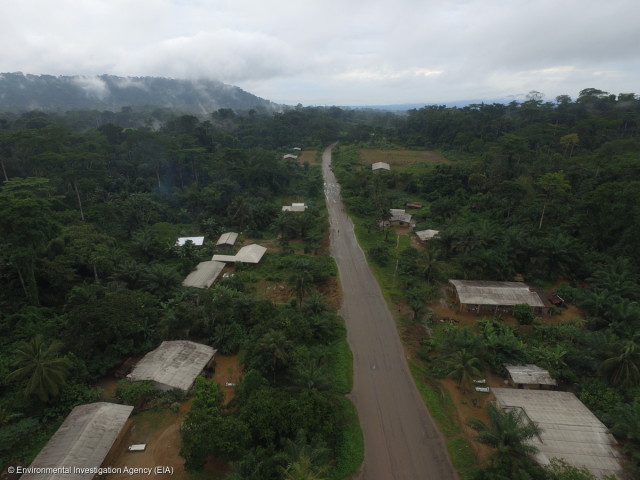 Babensi, un village jouxtant les plantations de la SGSOC