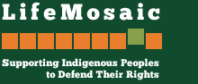 LifeMosaic Logo - Supporting Indigenous Peoples to Defend Their Rights