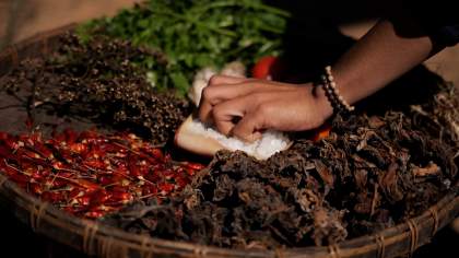 Indigenous Food Sovereignty